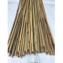 Bamboo canes