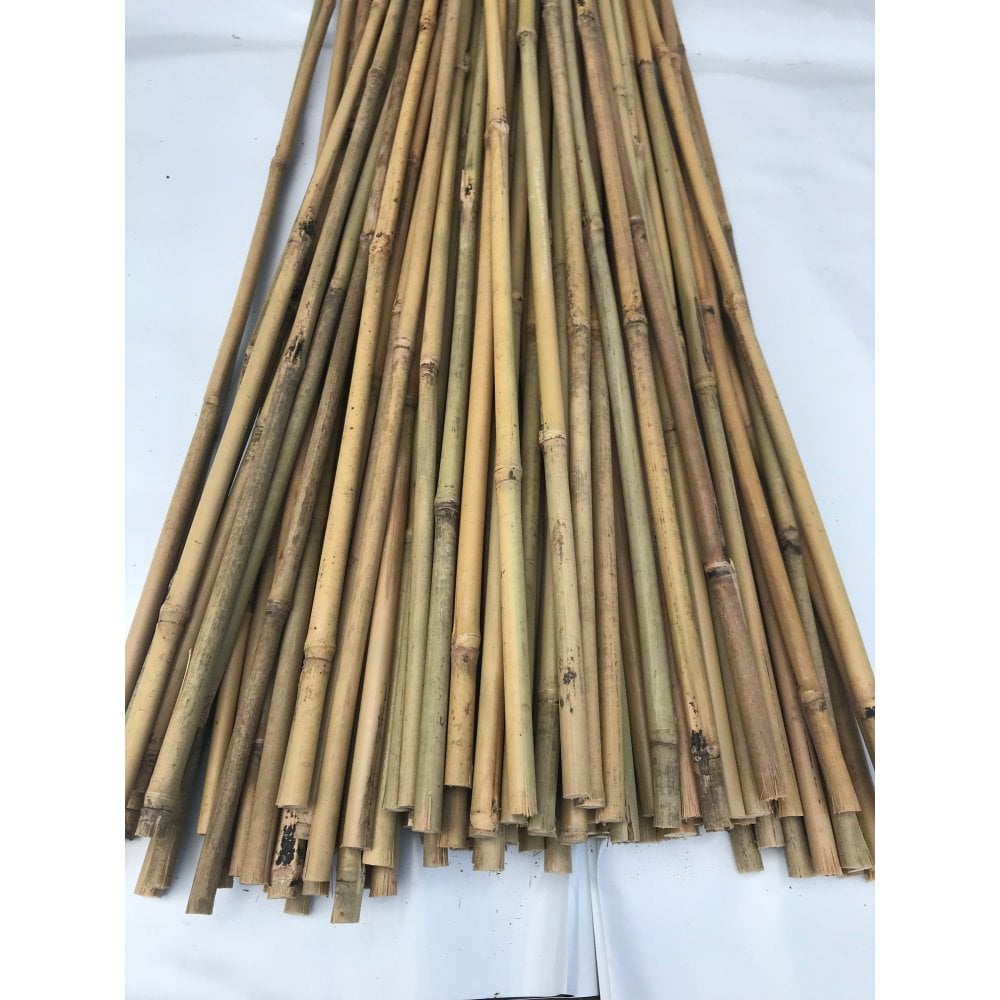 Bamboo canes