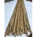 Bamboo canes heavy grade