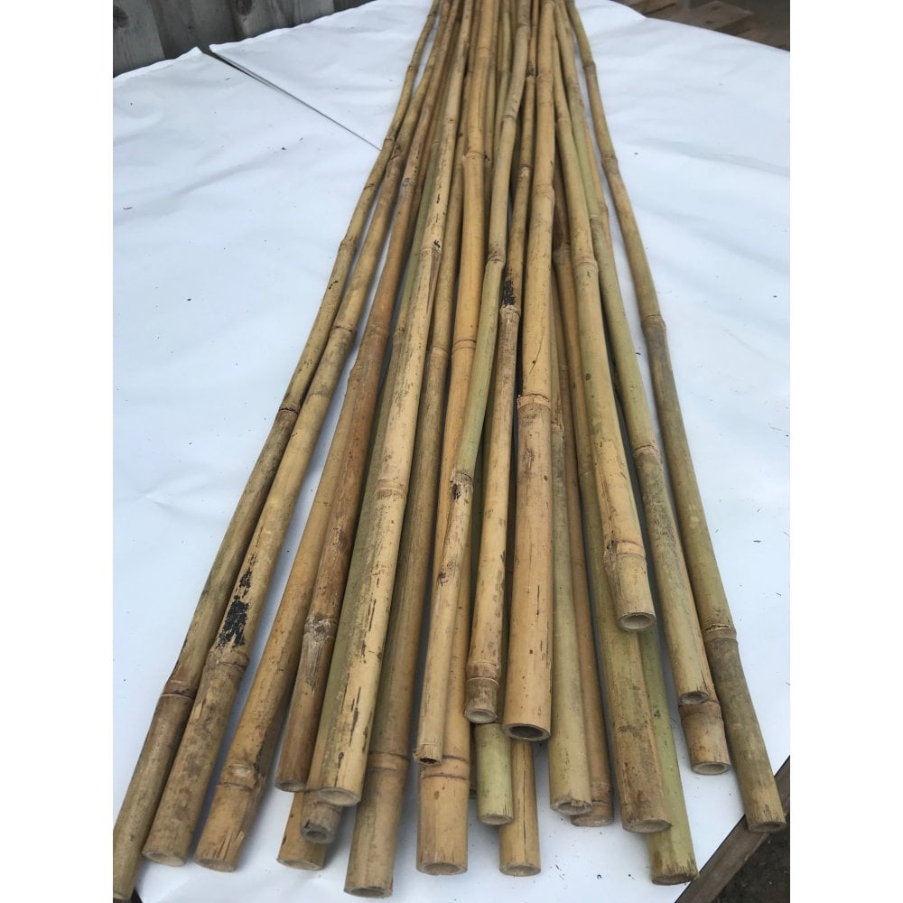 Bamboo canes heavy grade