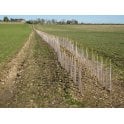 NATIVE FARM HEDGING<BR>BARE ROOT