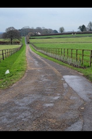 HEDGE PLANTING PROJECT