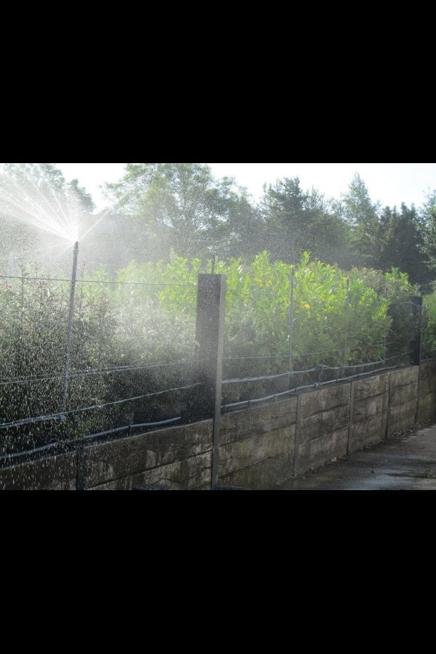 SUMMER IRRIGATION